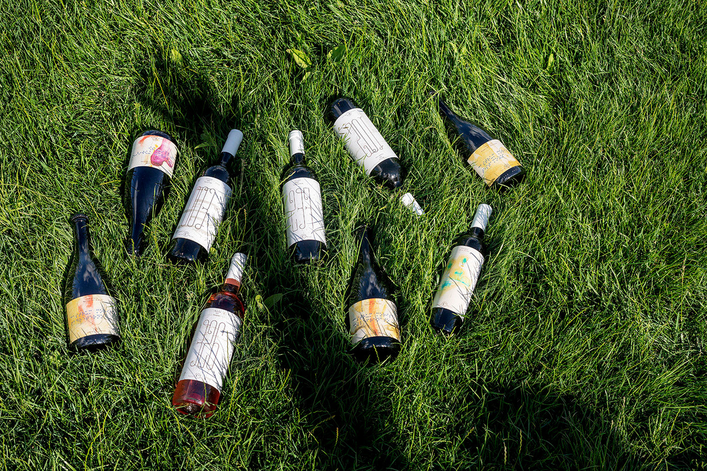 Vino