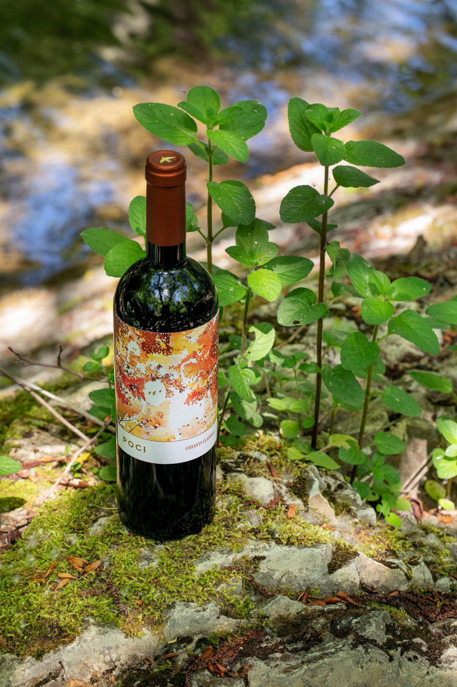 Vino