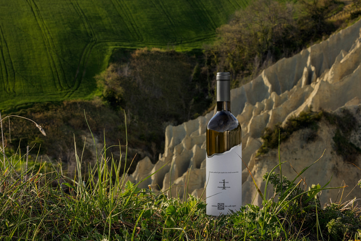 Vino